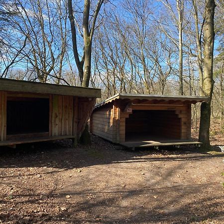 Krogager Primitiv Camping - Krogen Grindsted Bagian luar foto